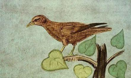 学习Python需要遵循的几个步骤