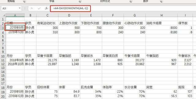 一个模版让报表自动生成，领导：这才是数据分析人该干的事