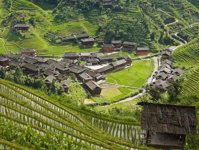 他回到家乡贷款创业，如今公司年产值100万美元