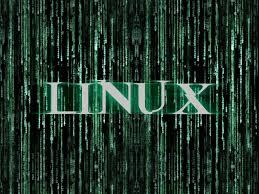 学习linux，看这篇1.5w多字的linux命令详解（6小时讲明白Linux）