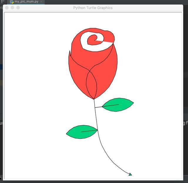 python画玫瑰程序员也有春天