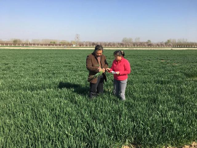 神州大地绿透了，跟着气象卫星看中国