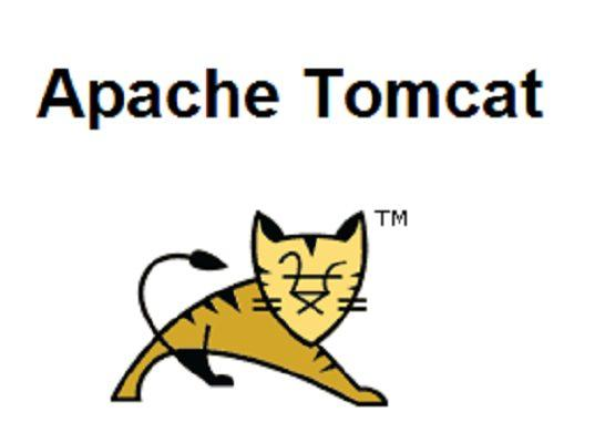 Tomcat是一个Servlet容器？
