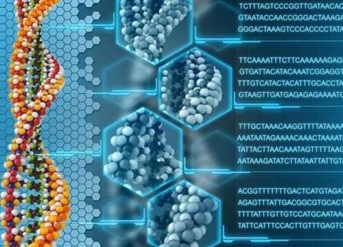 大数据有多可怕？科学家成功在DNA上编写sql，或能实现永生