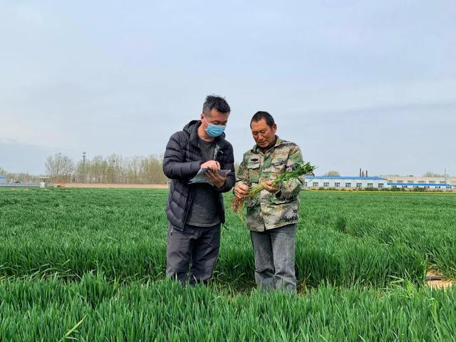 神州大地绿透了，跟着气象卫星看中国