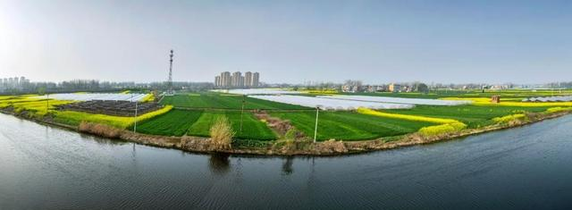 神州大地绿透了，跟着气象卫星看中国