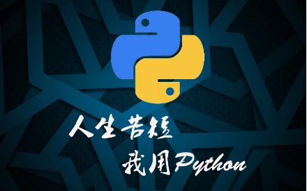 我的心酸求职之路：如果可以，去学Java、C，不要搞Python