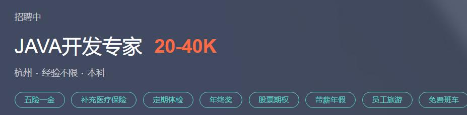 三个月吃透24岁阿里P7强推的406页java工程师修炼之道，入职蚂蚁