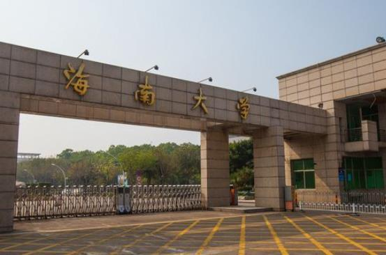 海南残疾大学生回乡创业，为残疾人插上梦想的翅膀