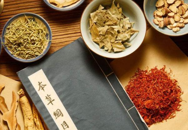 返乡农民工靠千元起步，发展中药产业，注册合作社带领农户致富