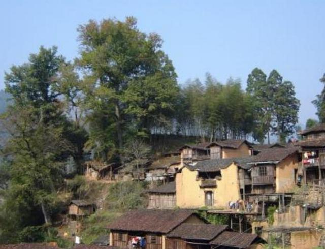 他回到家乡贷款创业，如今公司年产值100万美元