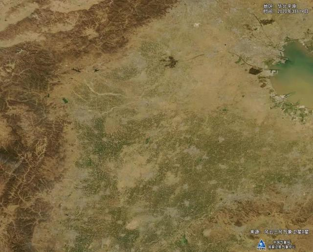 神州大地绿透了，跟着气象卫星看中国