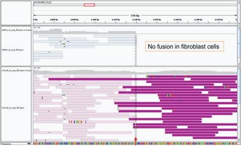 大数据有多可怕？科学家成功在DNA上编写sql，或能实现永生
