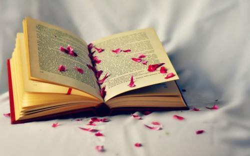 希望你也是一个爱看书的人，不为中华崛起，只愿你被岁月温柔以待