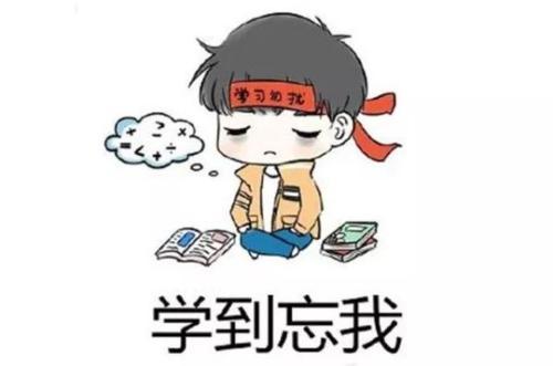 零基础怎么学编程？