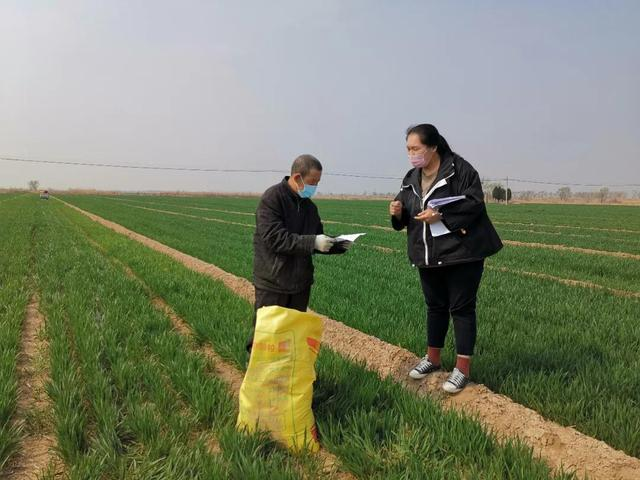 神州大地绿透了，跟着气象卫星看中国