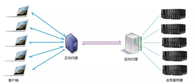 反向代理、负载均衡！优秀的 Nginx 是如何做到的？