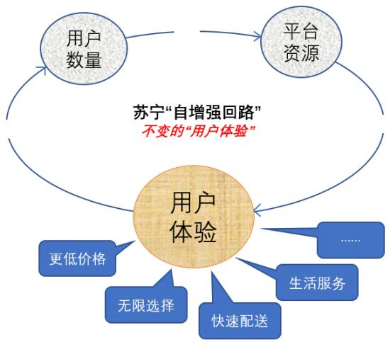 从双十一强化体验认知 看苏宁的 自增强回路 增长飞轮 娃哈哈困境 做好了生意 没做好品牌 Csdn博客