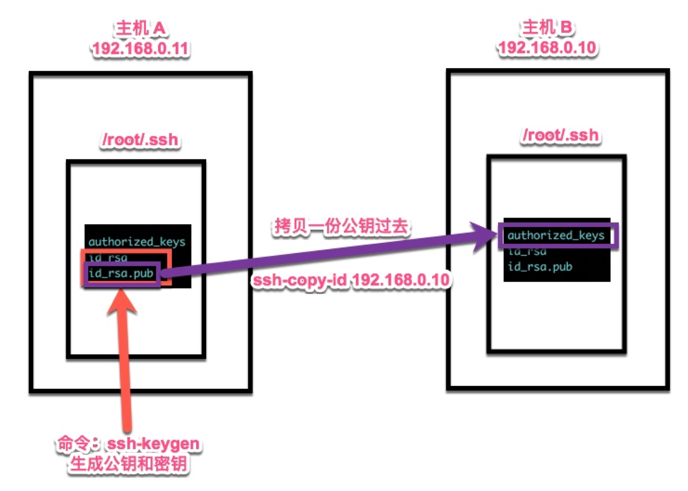 ssh 免密登录