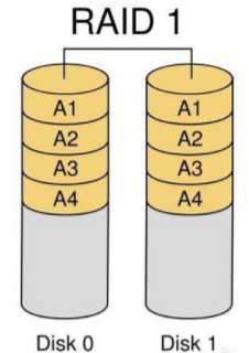 RAID1
