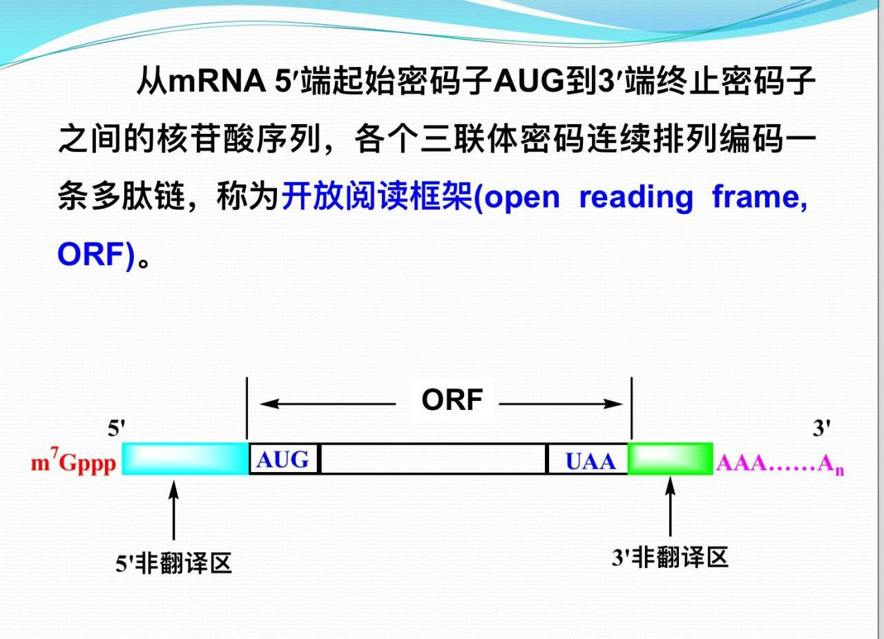 69 要想做到这一点,我们需要有一点点的生物学知识.