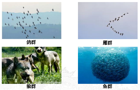 TIM截图20190927203949.png