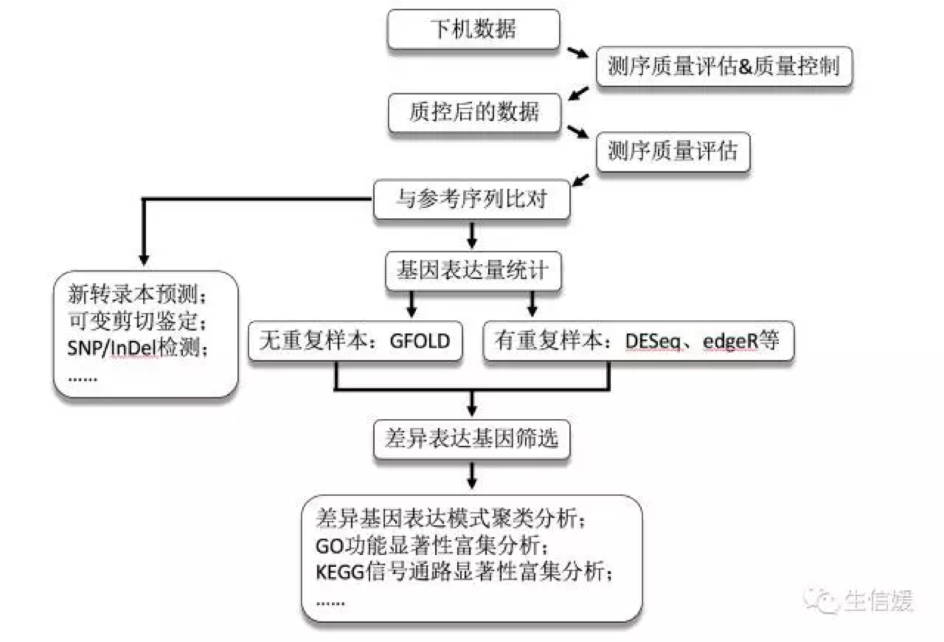 保姆级有参考RNAseq分析基本流程1（表达矩阵）_rnaseq比对定量后如何获得基因表达矩阵CSDN博客