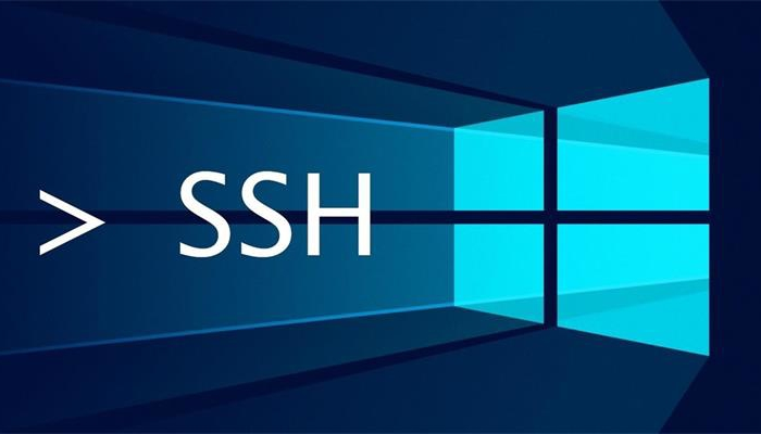 用于windows系统的连接Linux的SSH客户端,Xshell、MobaXterm等，来自FobGavin