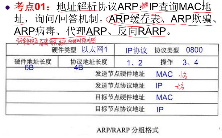 网络工程师-复习8-ARP、RIP、OSPF、BGP
