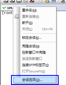 SecureCRT中文乱码设置
