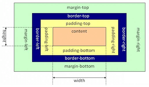 box model