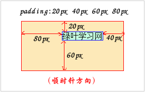 padding属性