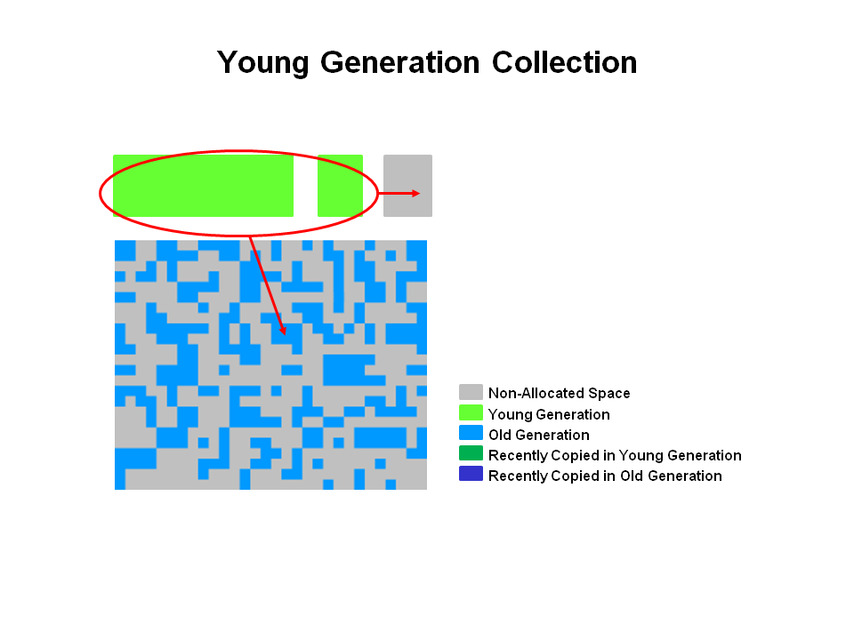Young Generation Collection