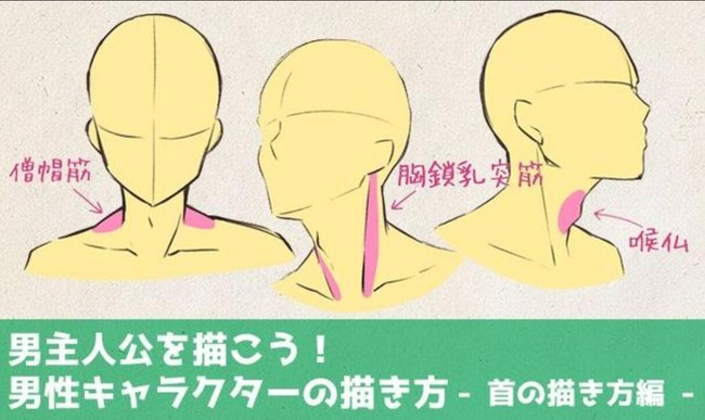 绘画教程男生和女生的脖子怎么画如何画喉结