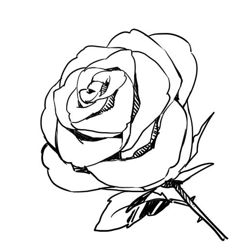 玫瑰花怎么画?花朵怎么画?鲜花怎么画?