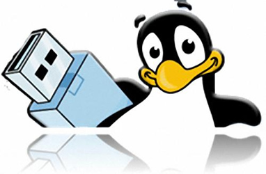 U disk to install Linux system