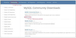 MySQL下载步骤详解（带安装教程）