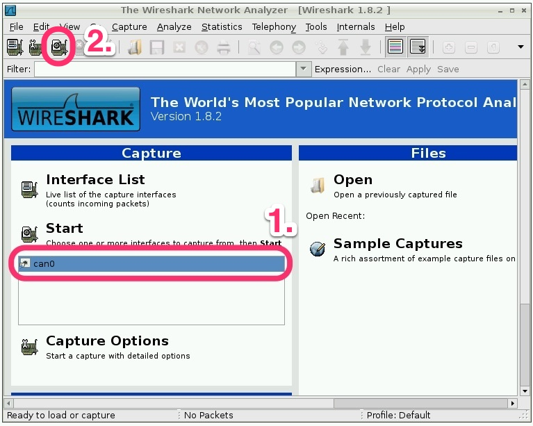 pi wireshark captures