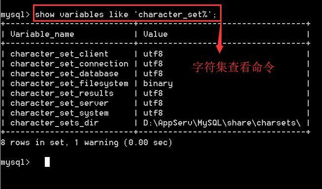 字符集结果