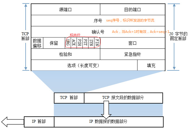 TCP报文格式图