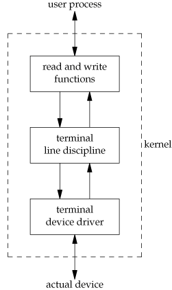Terminal module