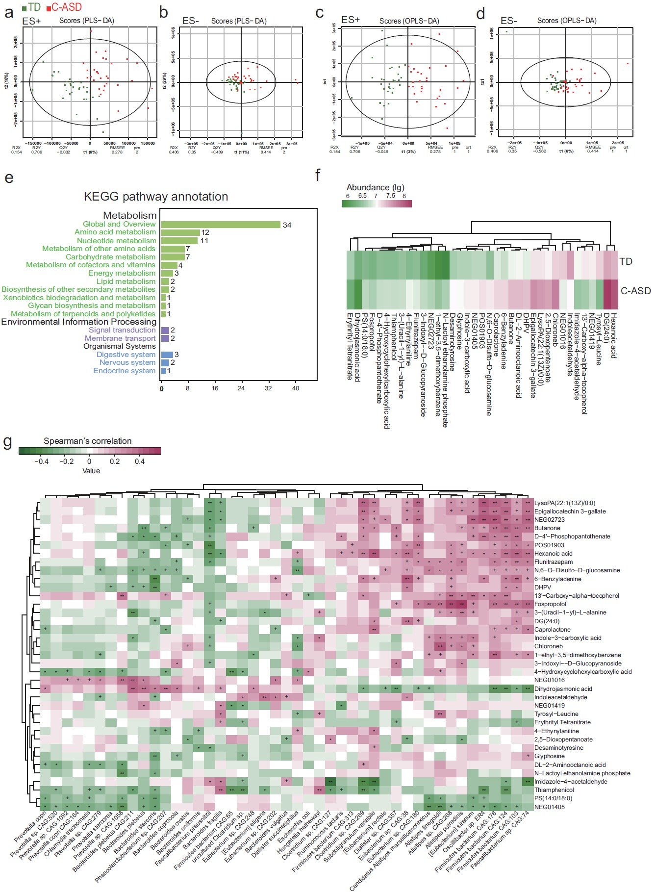 Gut Microbes：南医大刘星吟团队揭示肠道微生物谱的改变与孤独症谱系障碍的异常神经递质代谢活动相关_肠道微生物文献科研论文-CSDN博客