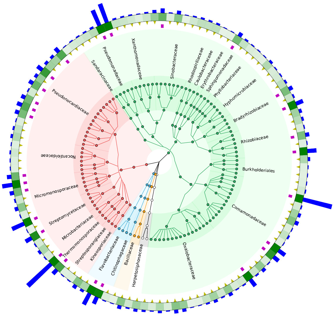 重现2篇Nature中GraPhlAn绘制的超高颜值物种树Cladogram_graphlan图怎么解读-CSDN博客