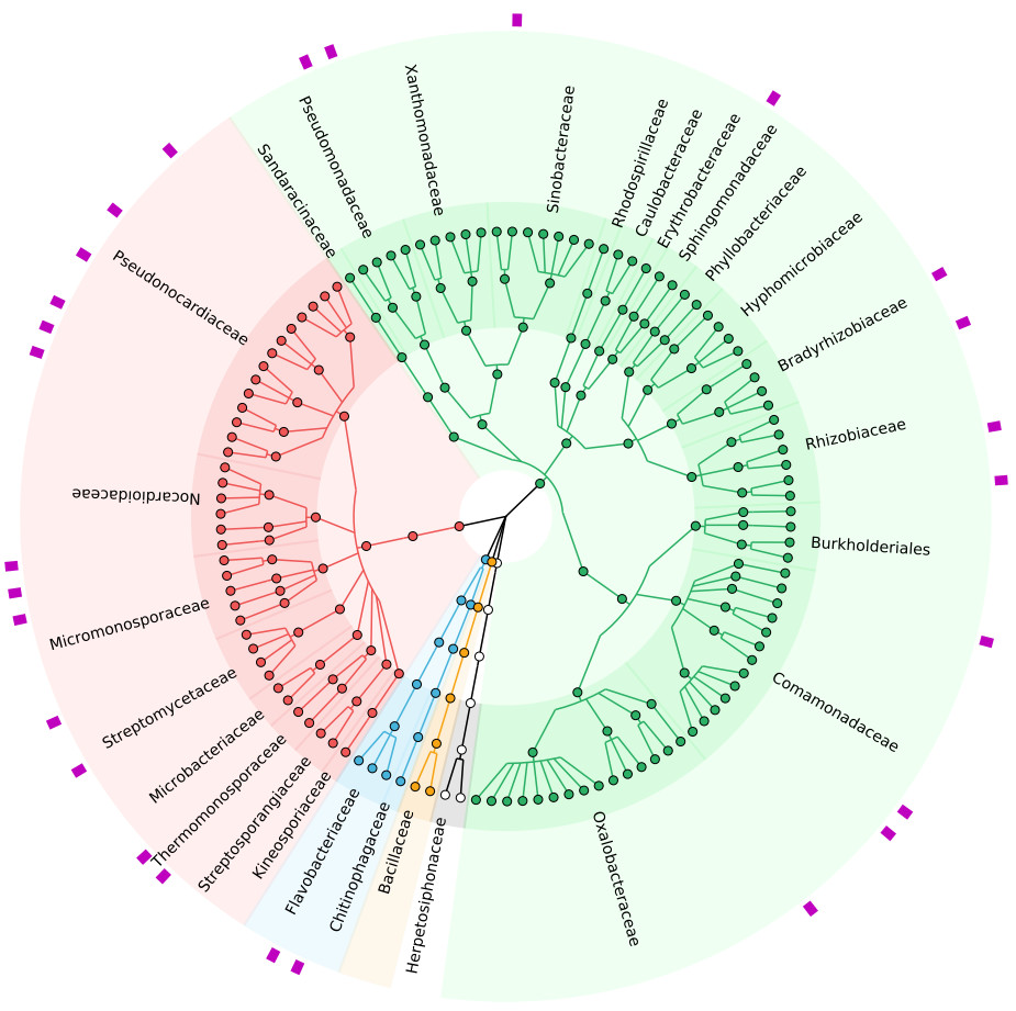 重现2篇Nature中GraPhlAn绘制的超高颜值物种树Cladogram_graphlan图怎么解读-CSDN博客