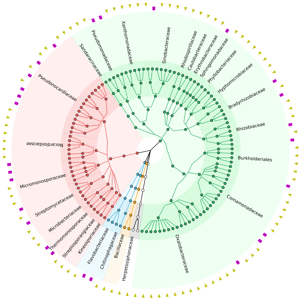 重现2篇Nature中GraPhlAn绘制的超高颜值物种树Cladogram_graphlan图怎么解读-CSDN博客