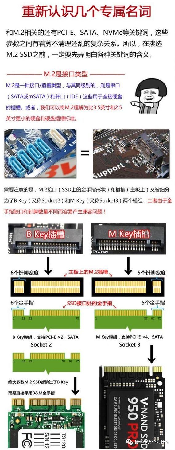 ssd硬盘的接口区别详解图解 sata,msata,pci