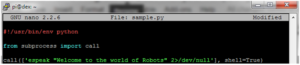 示例程序在启动时在Raspberry Pi上运行程序