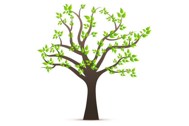什么树什么根的成语_成语故事图片