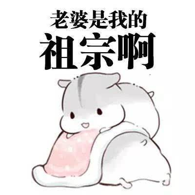 @生存技巧！程序员如何应对女朋友的“小脾气”（最后附女友靓照）陈哈哈-