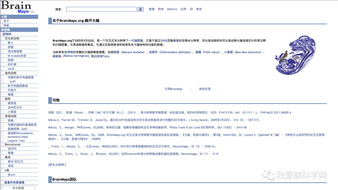经典大脑解剖网站大全